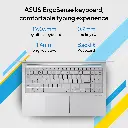 14.webp
