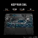 8.webp