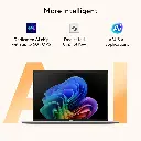 24.webp